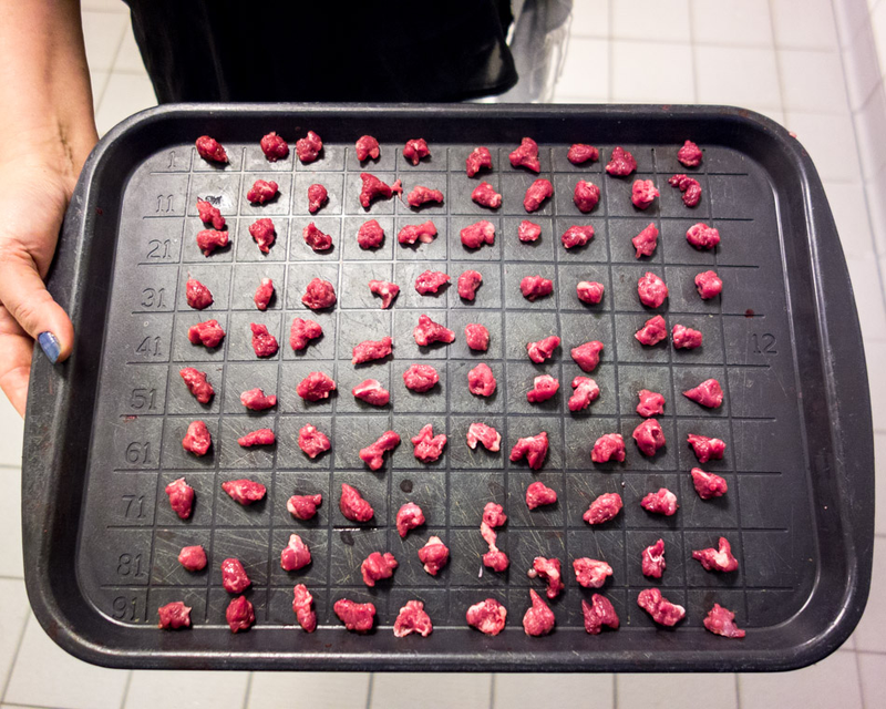 Illustration for article titled Take a Visual Tour of the World's Most Modern Slaughterhouse